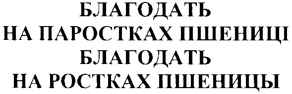 благодать на паростках пшениці