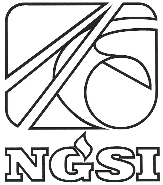 ngsi