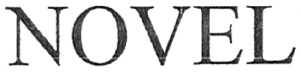 novel