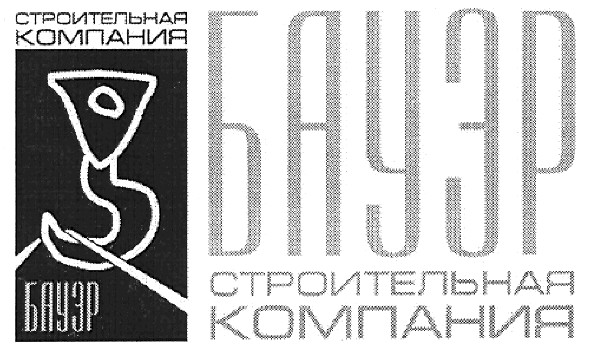 строительная компания бауэр