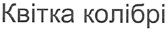 квітка колібрі