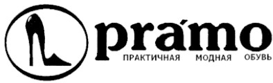 практичная модная обувь