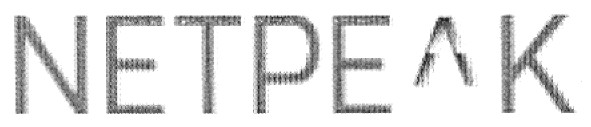 netpeak