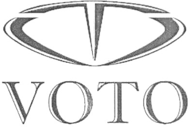 voto