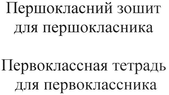 первоклассная тетрадь для первоклассника