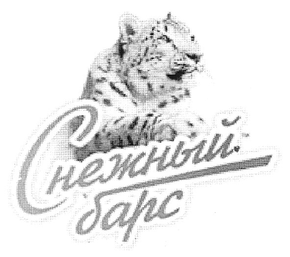 снежный барс