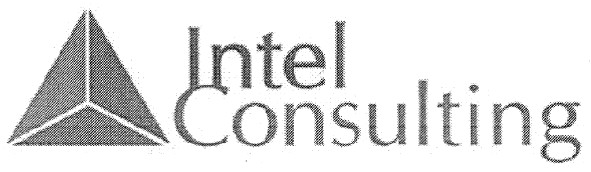 intel consulting