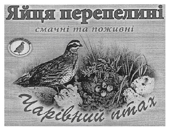 смачні та поживні