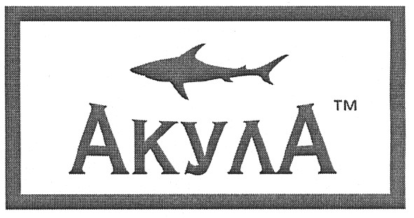 акула