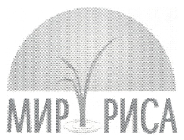 мир риса