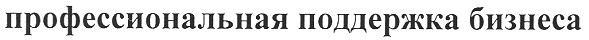 профессиональная поддержка бизнеса