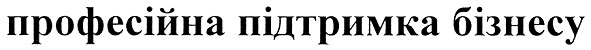 професійна підтримка бізнесу