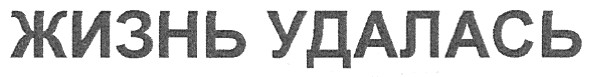 жизнь удалась