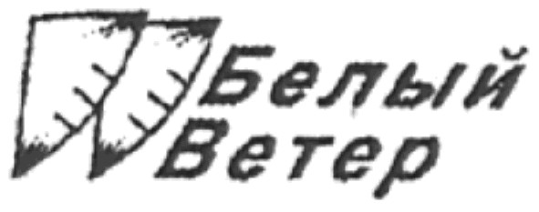 белый ветер