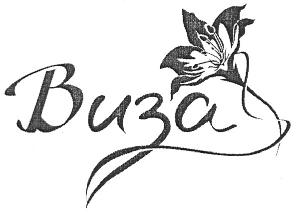 виза