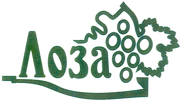 лоза