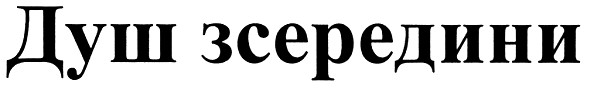 душ зсередини
