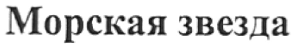 морская звезда