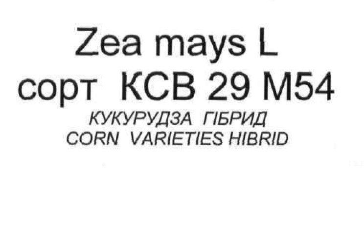 corn varieties hibrid