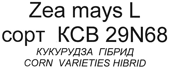 corn varieties hibrid
