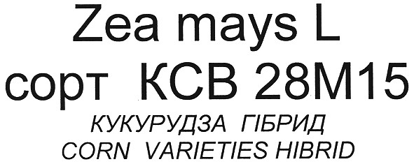 corn varieties hibrid