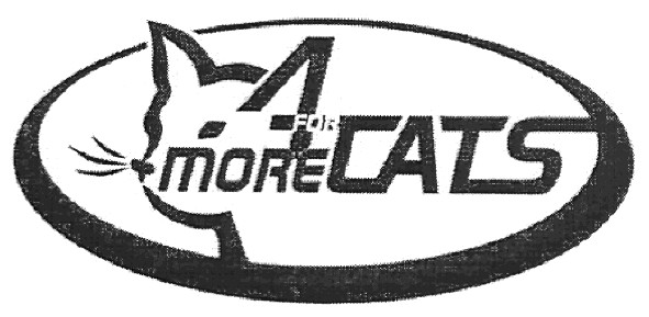 more 4 for cats