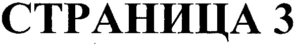 страница 3