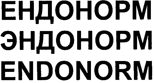 ендонорм