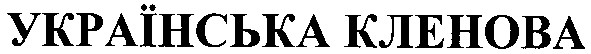 українська кленова