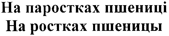 на паростках пшениці