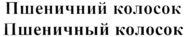 пшеничний колосок