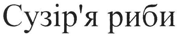 сузір`я