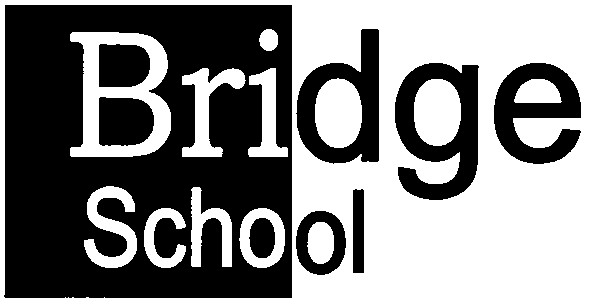 bridge school