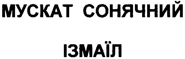 мускат сонячний ізмаїл