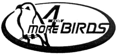 more 4 for birds