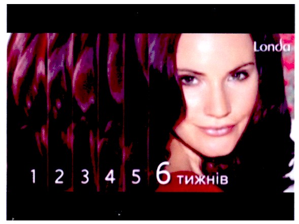 1 2 3 4 5 6 тижнів