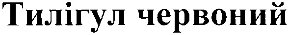 тилігул червоний