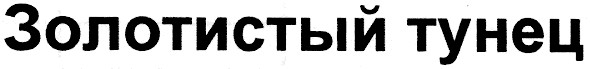 золотистый тунец