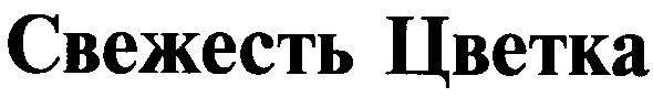 свежесть цветка