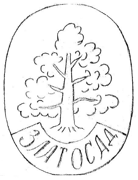 златосад