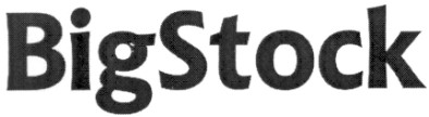 big stock