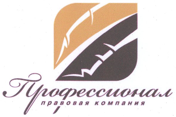 профессионал правовая компаня
