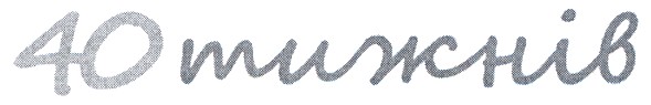 40 тижнів