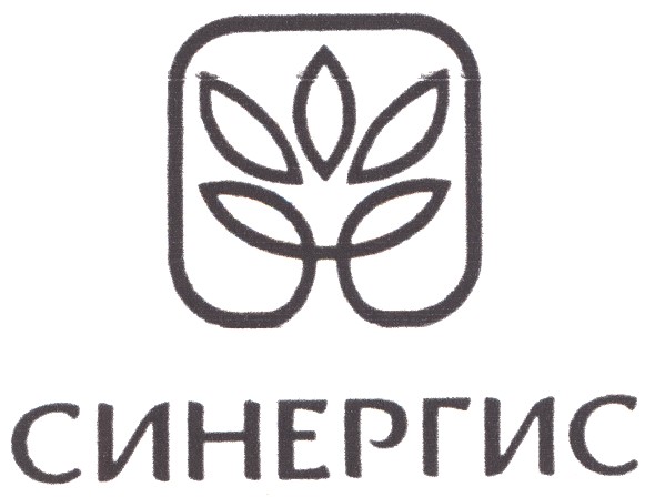 синергис