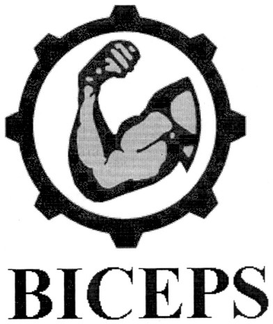 biceps
