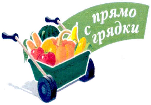 прямо с грядки