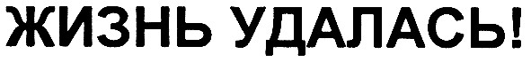 жизнь удалась!