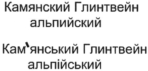кам`янський глинтвейн альпійський