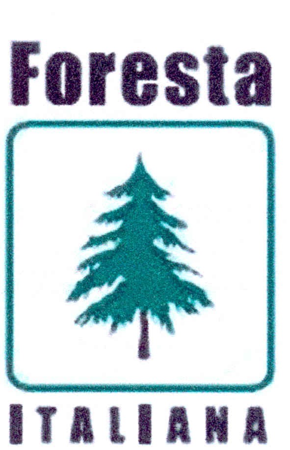 foresta italiana