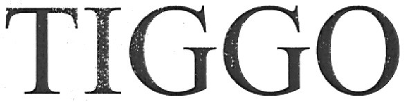 tiggo